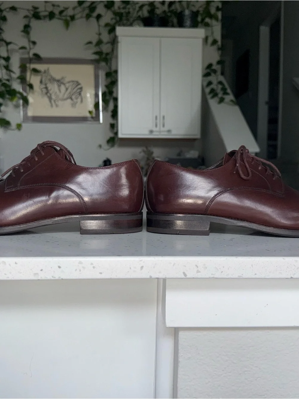 T.M.Lewin Men's Dark Brown Leather Derby Shoes